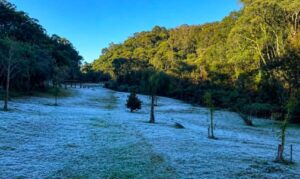 Geada em Salinas abre a temporada do frio europeu em Nova Friburgo